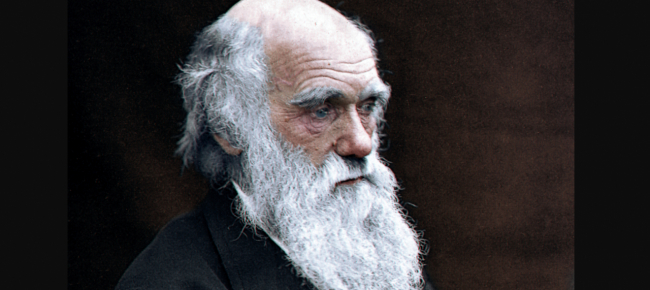 a-cambridge-sono-scomparsi-i-taccuini-di-darwin