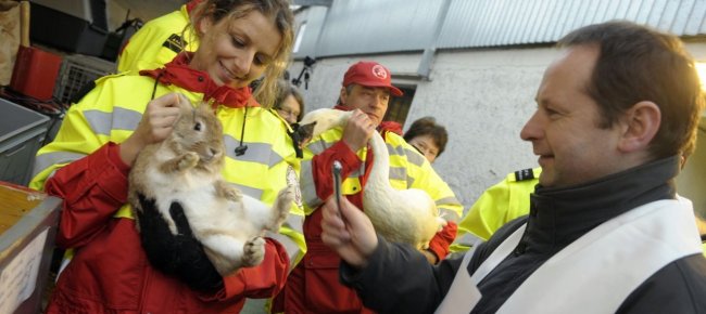 la-spab-annulla-la-benedizione-degli-animali