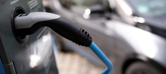 la-tutela-del-clima-e-redditizia-anche-per-l-economia