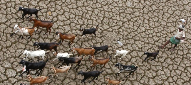 allarme-onu-gli-stati-fanno-troppo-poco-per-il-clima