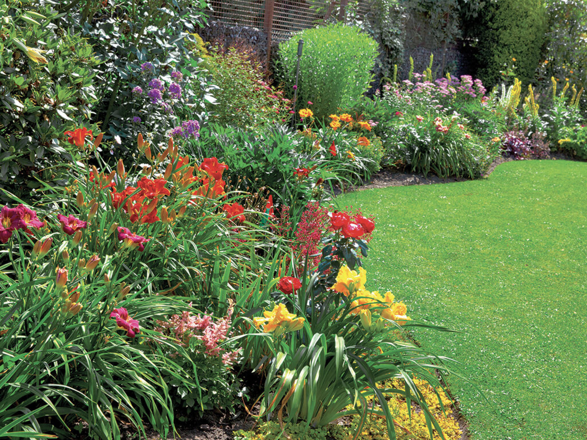 Come pacciamare il giardino: manutenzione in estate - Cose di Casa
