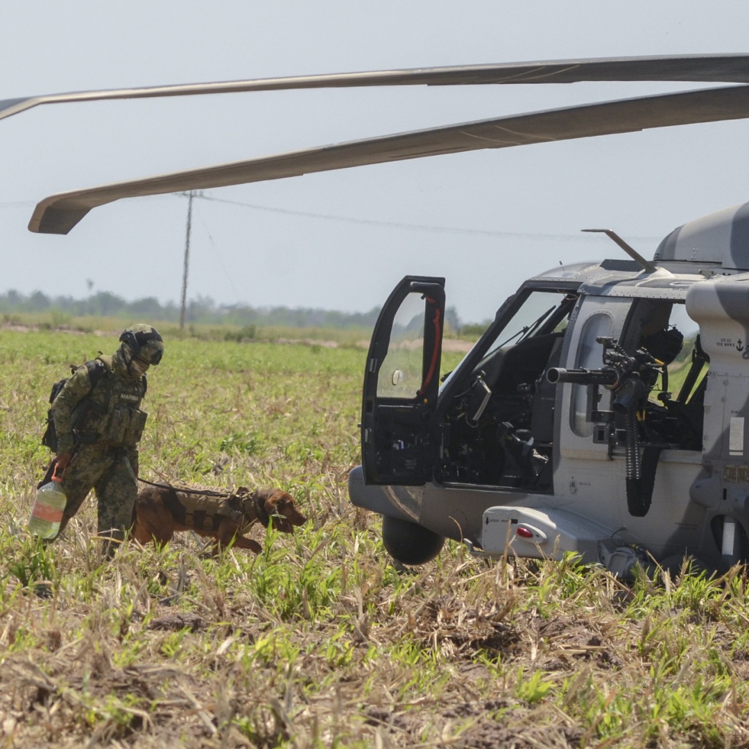 Black Hawk precipita in un incidente in elicottero