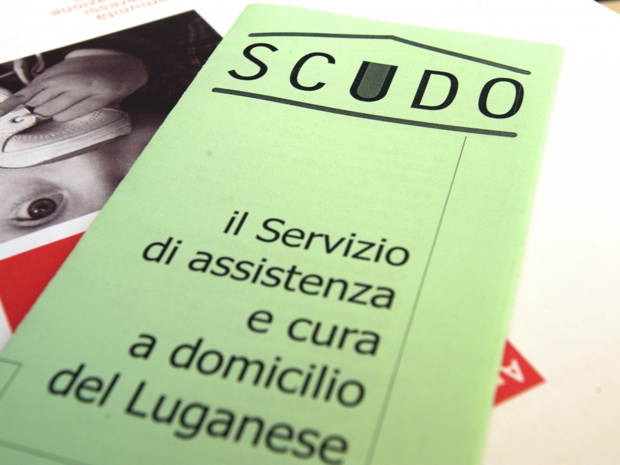 Viganello, dal Cantone 2,5 milioni per villa Bolla Rava | laRegione.ch