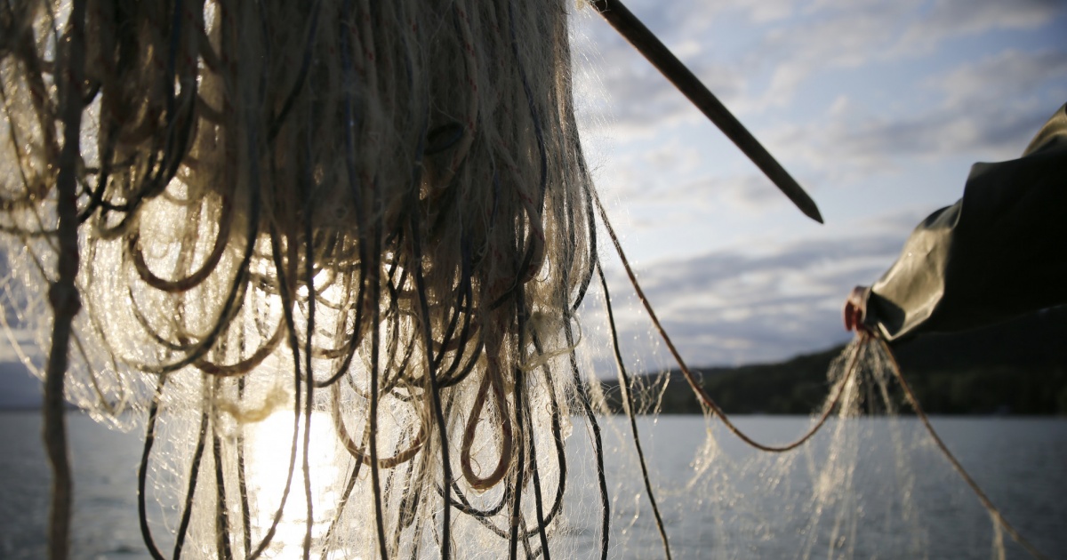 De patrona del oriente venezolano a protectora de los arrecifes de coral De patrona del oriente venezolano a protectora de los arrecifes de coral