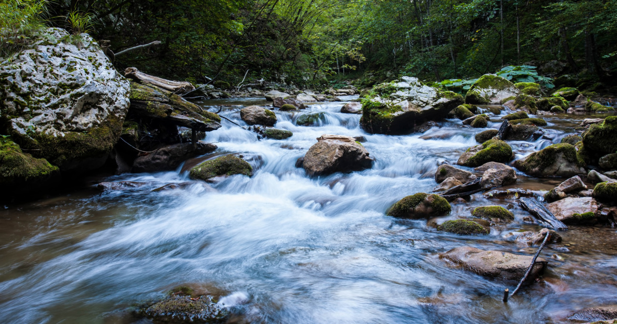 Lo Stato Ecologico Dei Ruscelli In Svizzera Insufficiente LaRegione ch lo-stato-ecologico-dei-ruscelli-in-svizzera-insufficiente-laregione-ch