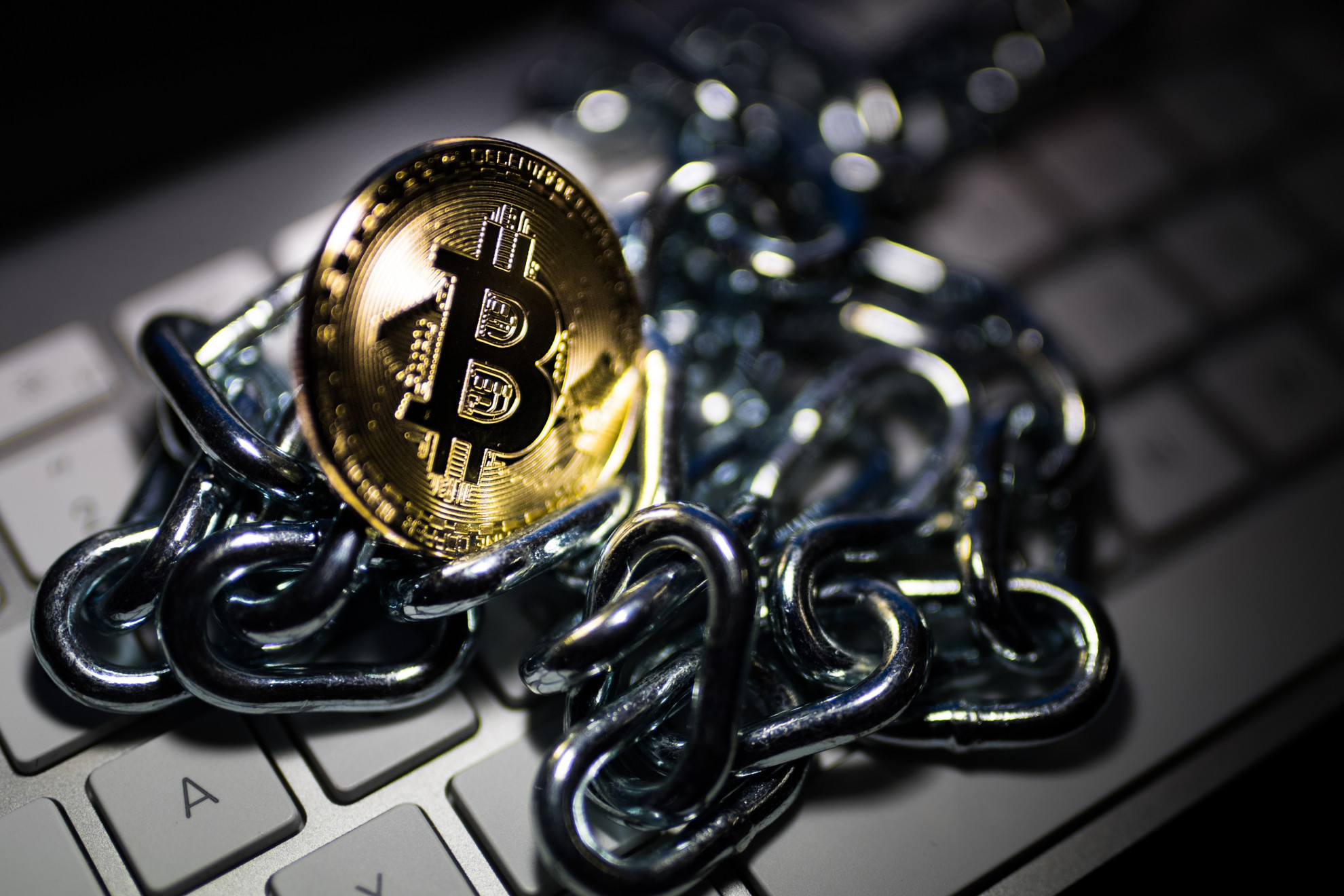 Criptoboy luganese accusato di sequestro e torture a New York | laRegione.ch