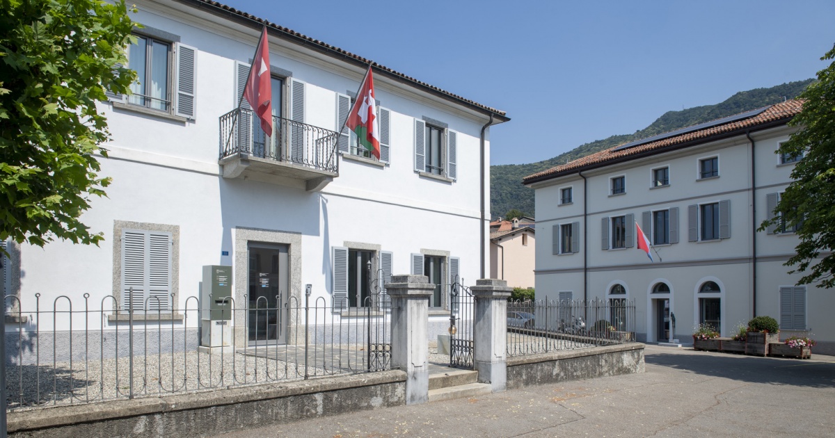 Un águila Calva Atacó A Donald Trump Durante Una Sesión De Fotos (VIDEO - Foto 13