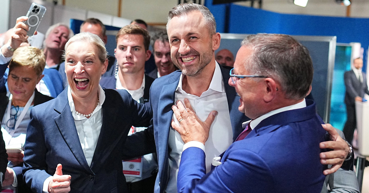 Valanga AfD, la Germania trema