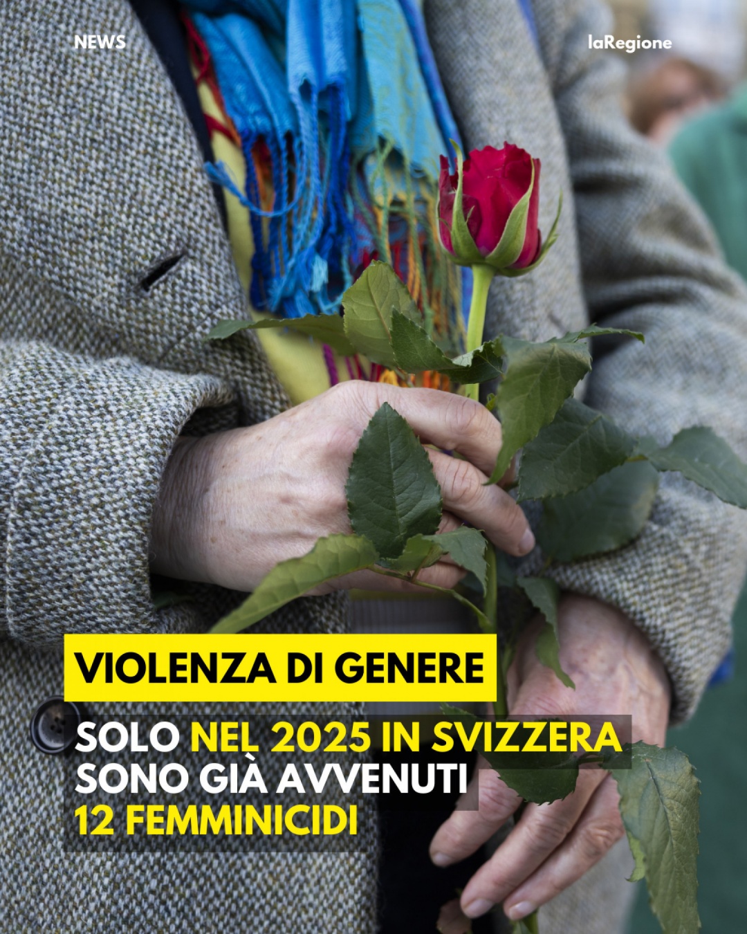 Anteprima gallery