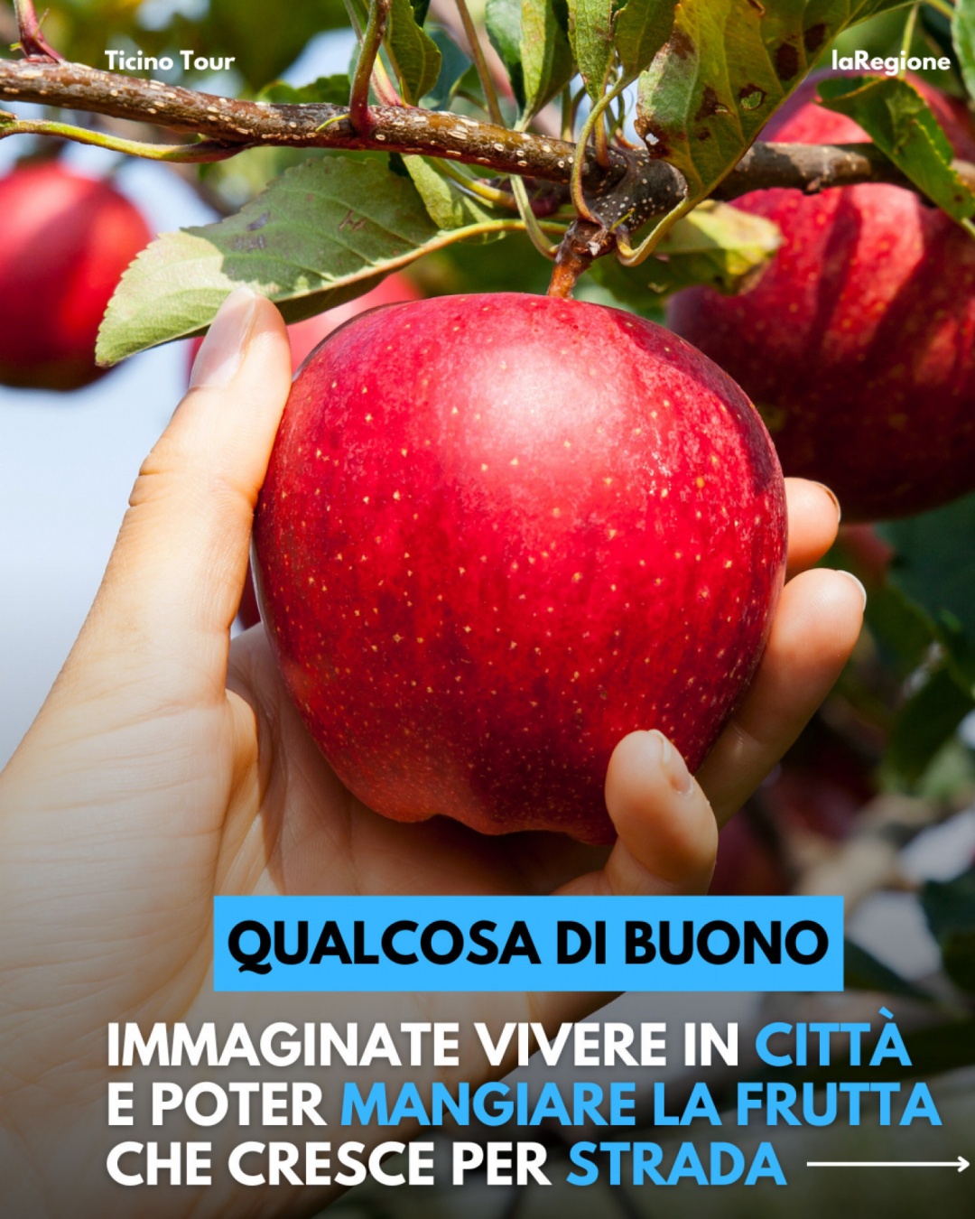 Anteprima gallery