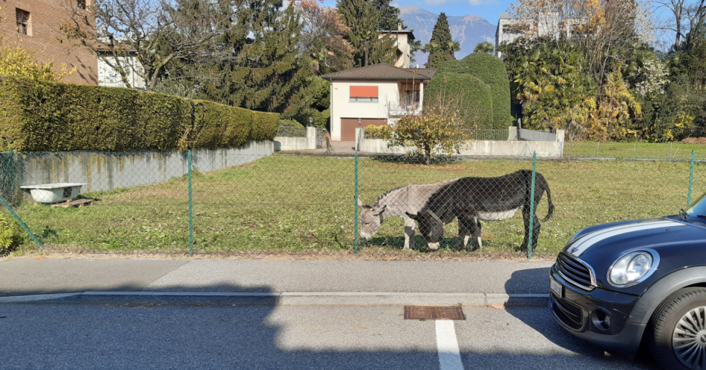 Contatti inattesi. E sorprendenti