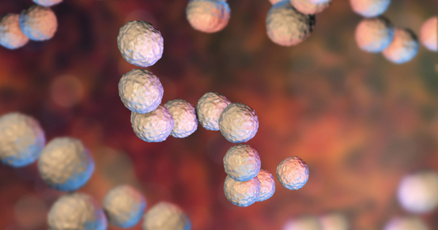 Allerta in Giappone per un’infezione rara