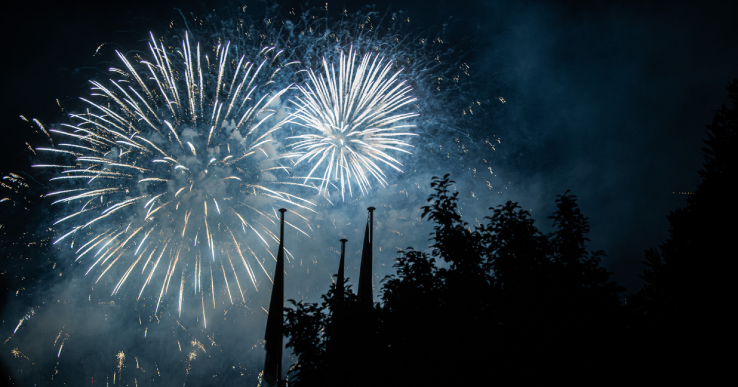 I fuochi d'artificio disturbano l'avifauna per giorni a Basilea