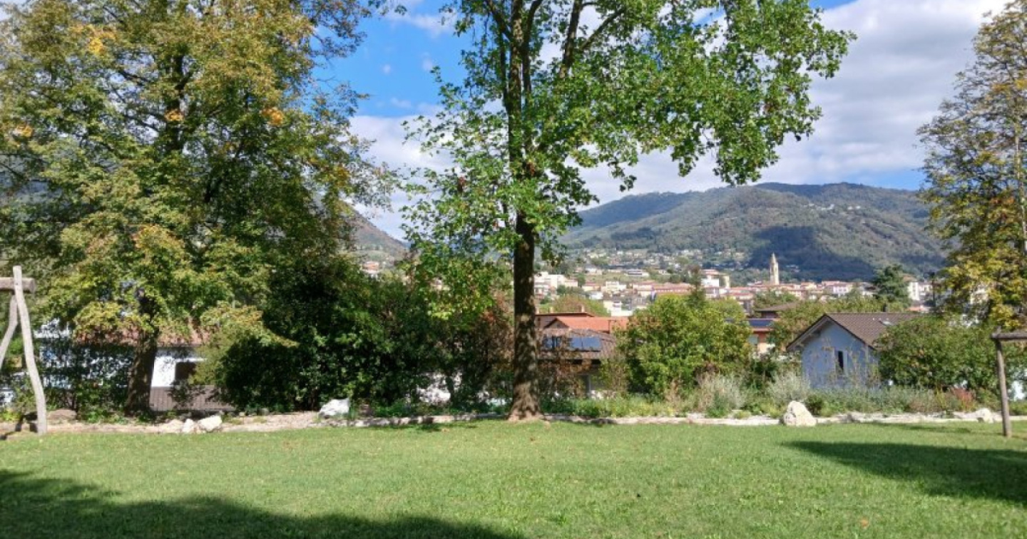 Messe a dimora oltre 2mila piante sul Colle di Sant'Antonio a Balerna