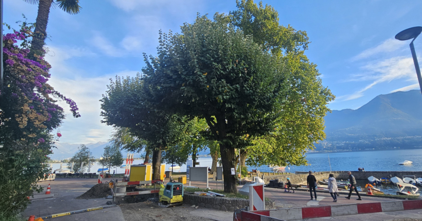 Niente da fare per i tigli del Portigon, ma degli alberi saranno graziati