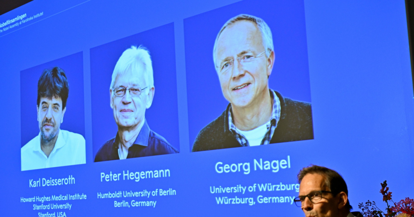 Da un'alga un interruttore per il cervello: Nobel per la medicina all'optogenetica