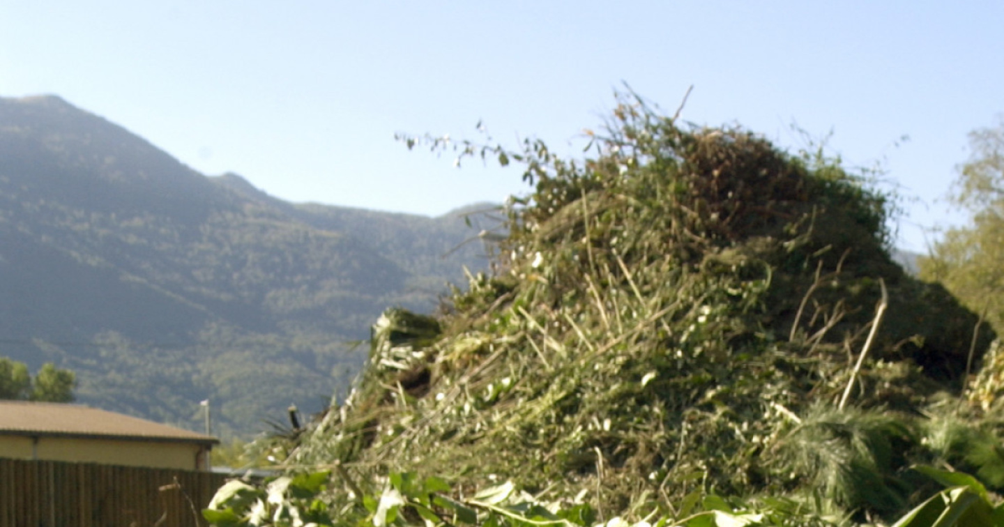 Terre di Pedemonte, la raccolta del verde a una ditta esterna