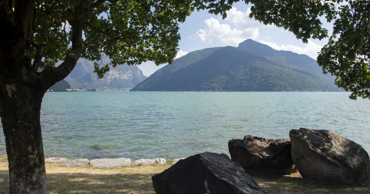 Omaggio alle sirene