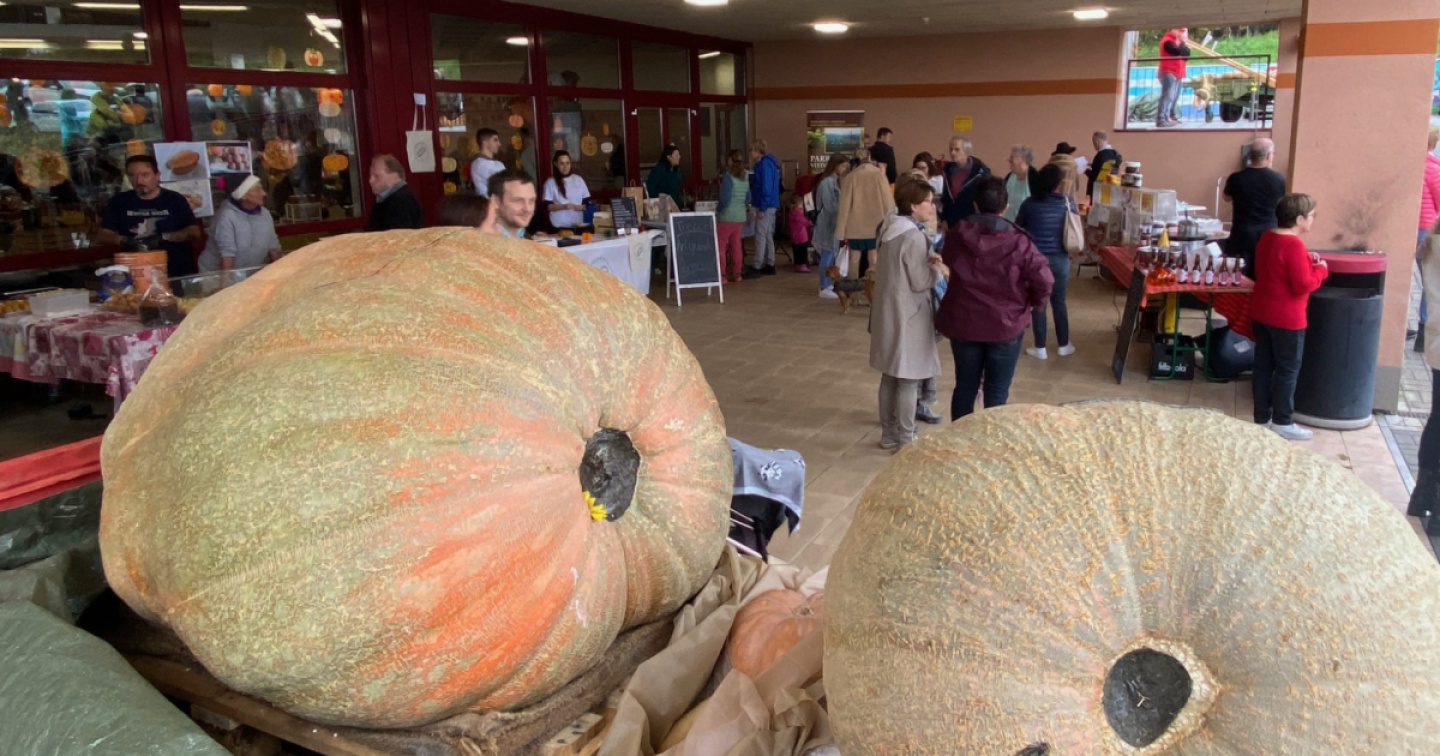 Castel San Pietro torna a festeggiare la Sagra della zucca