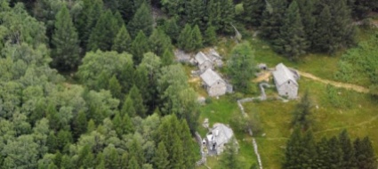 le-antiche-faggete-di-lodano-candidate-al-patrimonio-dell-unesco-assieme-al-ponte-sulla-gola-della-salgina