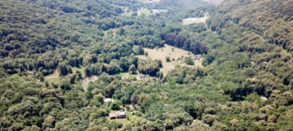 ci-si-prende-cura-dei-boschi-del-monte-boglia