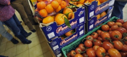 3-800-tonnellate-di-cibo-raccolte-da-tavola-svizzera