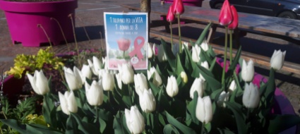 a-mendrisio-fioriscono-i-tulipani-per-la-vita