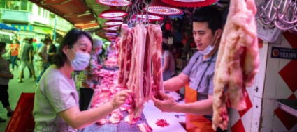 carne-di-animali-selvatici-vietata-a-wuhan-per-cinque-anni