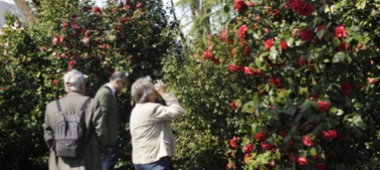 locarno-garden-of-excellence-al-parco-delle-camelie