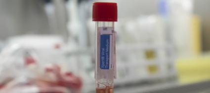 coronavirus-in-svizzera-nuovi-contagi-stabili-ma-due-decessi
