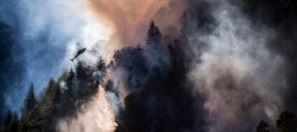 siccita-e-caldo-mix-pericoloso-c-e-rischio-di-incendi-di-boschi