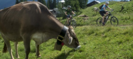 gusta-e-pedala-il-percorso-enogastronomico-quasi-esaurito
