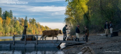 il-festival-ibrido-first-cow-tanto-per-cominciare