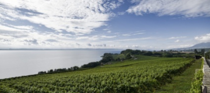 migliaia-di-tonnellate-di-munizioni-al-lago-di-neuchatel