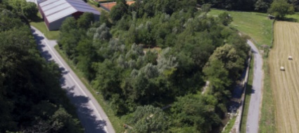 area-verde-a-seseglio-parola-al-consiglio-comunale