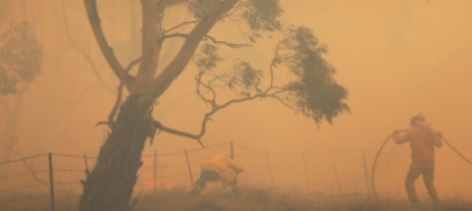 gli-incendi-in-australia-spensero-il-sole-e-raffreddarono-la-terra