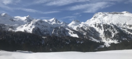 l-atlante-degli-uccelli-invernali