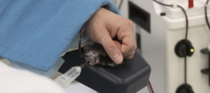 coronavirus-solo-12-nuovi-casi-ancora-un-morto