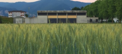 tra-mendrisio-e-la-sportacademy-oggi-c-e-un-accordo