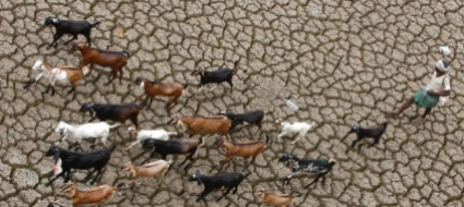 allarme-onu-gli-stati-fanno-troppo-poco-per-il-clima