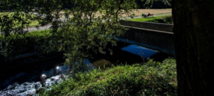 un-comitato-guida-per-il-fiume-laveggio