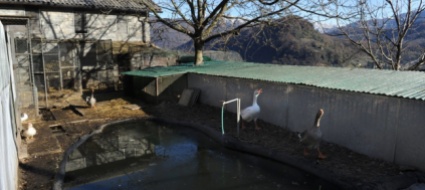 nussbaumer-indennizzato-dal-comune