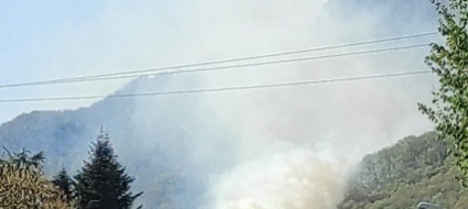 gordevio-fiamme-nei-boschi-sopra-la-strada