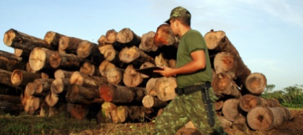 amazzonia-deforestazione-aumentata-del-45-in-un-anno
