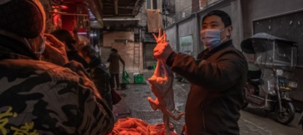 alta-tensione-tra-usa-e-cina-sulle-origini-del-virus