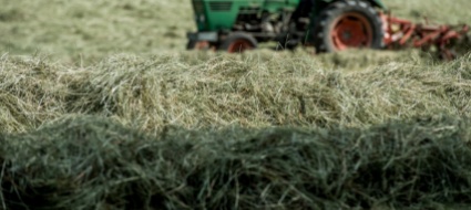 kazakistan-niente-terreni-agricoli-agli-stranieri