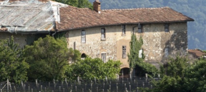 vigino-appello-dei-consiglieri-di-castello-al-cantone