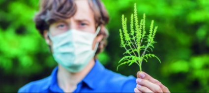 le-piante-neofite-invasive