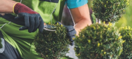 fare-giardinaggio-fa-bene-alla-salute