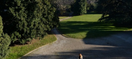 parco-storico-in-citta-comportamenti-poco-urbani